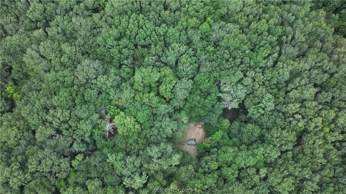 Tbd Rose Hill Rd/pleasant Hill Rd Property Photo 8