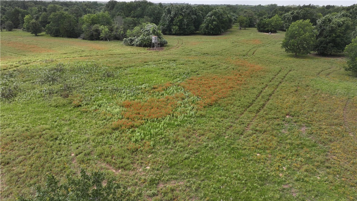 Tbd Rose Hill Rd/pleasant Hill Rd Property Photo 12