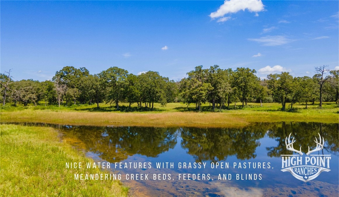 Tbd Ranch Road Off Cr 405 (+/- 245 Acres) Property Photo 3
