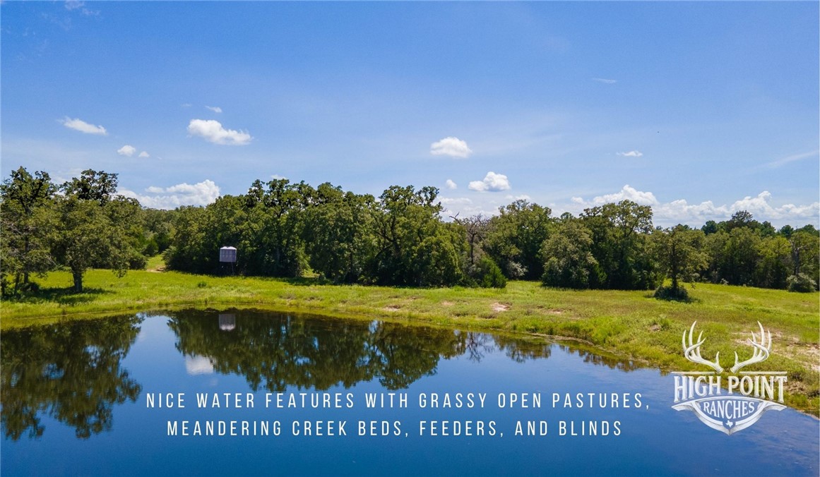 Tbd Ranch Road Off Cr 405 (+/- 245 Acres) Property Photo 4