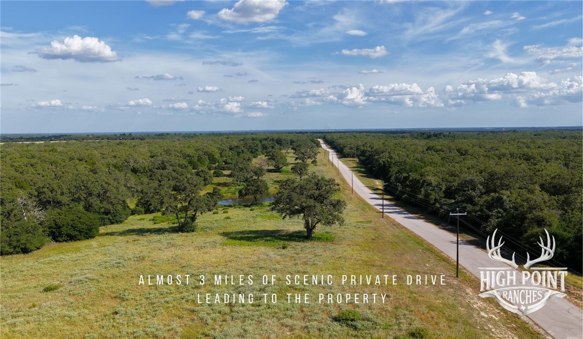 Tbd Ranch Road Off Cr 405 (+/- 245 Acres) Property Photo 7