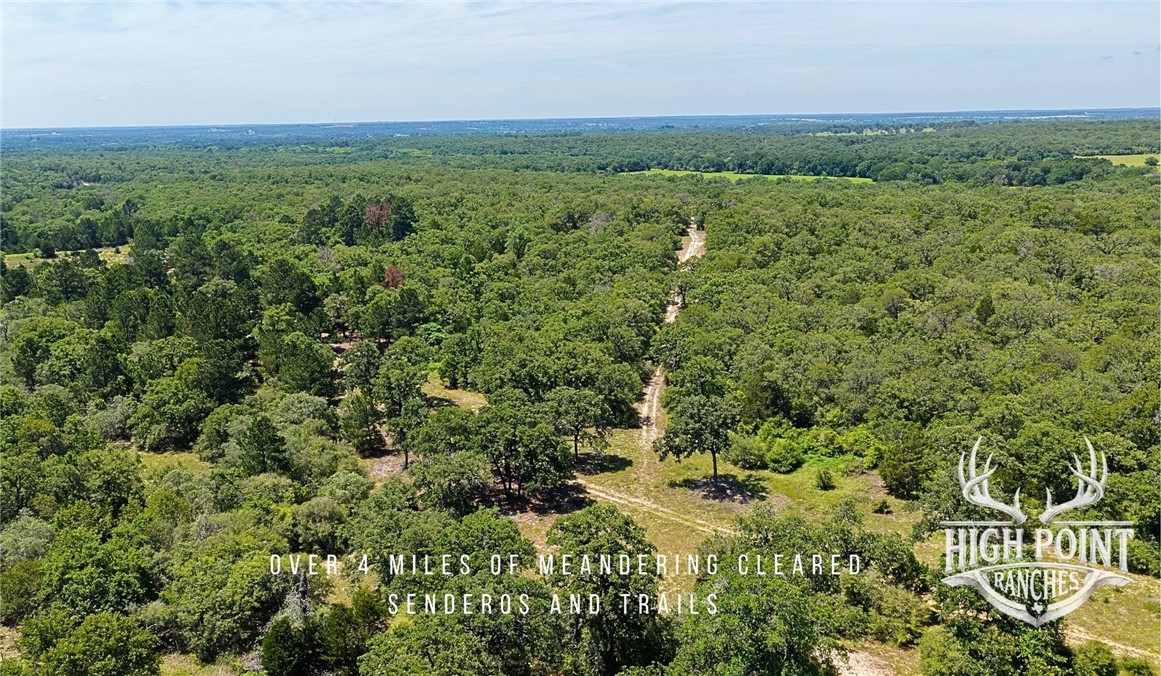 Tbd Ranch Road Off Cr 405 (+/- 245 Acres) Property Photo 9