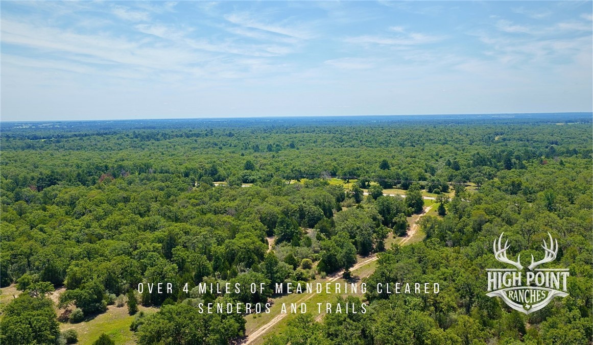 Tbd Ranch Road Off Cr 405 (+/- 245 Acres) Property Photo 11