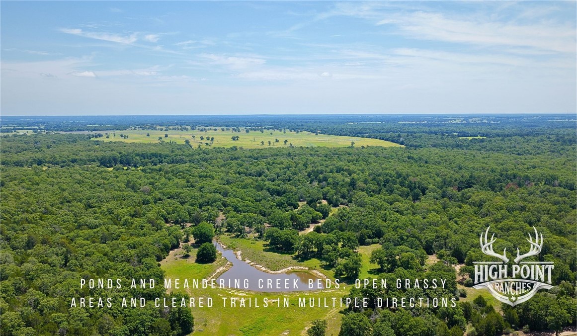 Tbd Ranch Road Off Cr 405 (+/- 245 Acres) Property Photo 13