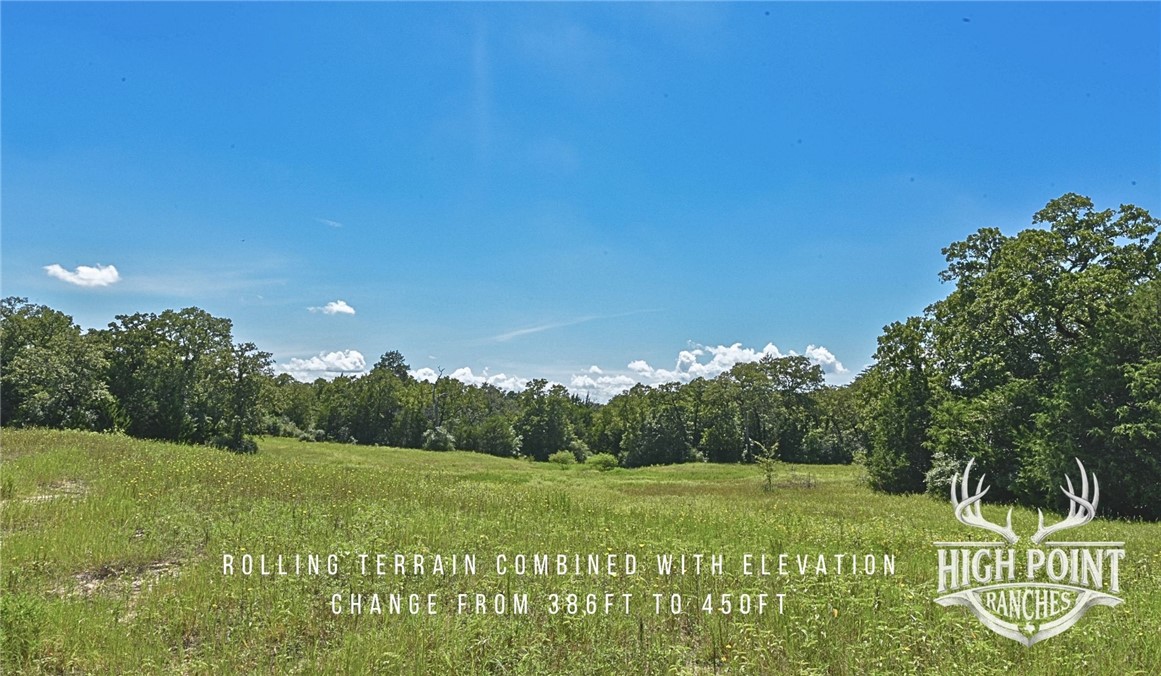 Tbd Ranch Road Off Cr 405 (+/- 245 Acres) Property Photo 14
