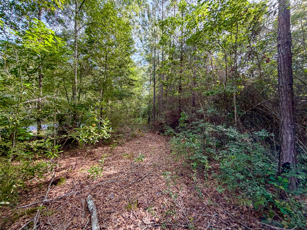 08 Fm 787 Property Photo 3