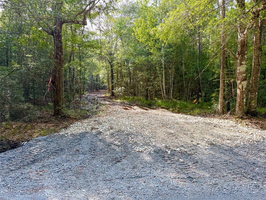 08 Fm 787 Property Photo 12