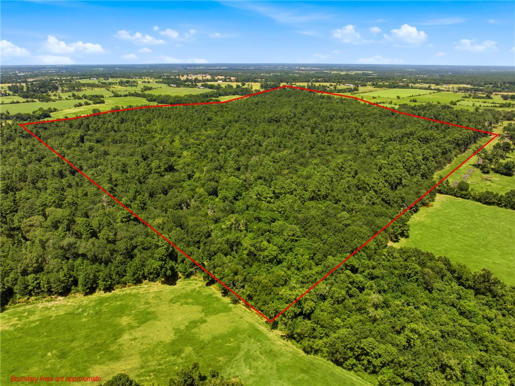 118.25 Acres Cr 278c Property Photo 1
