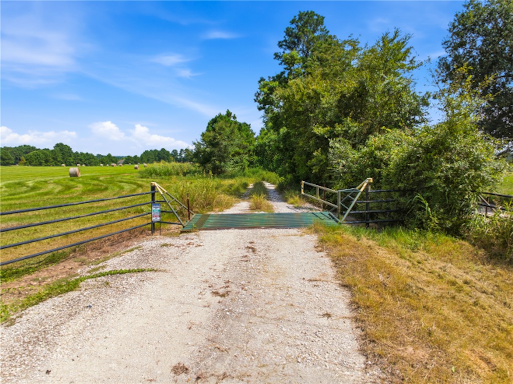 118.25 Acres Cr 278c Property Photo 3