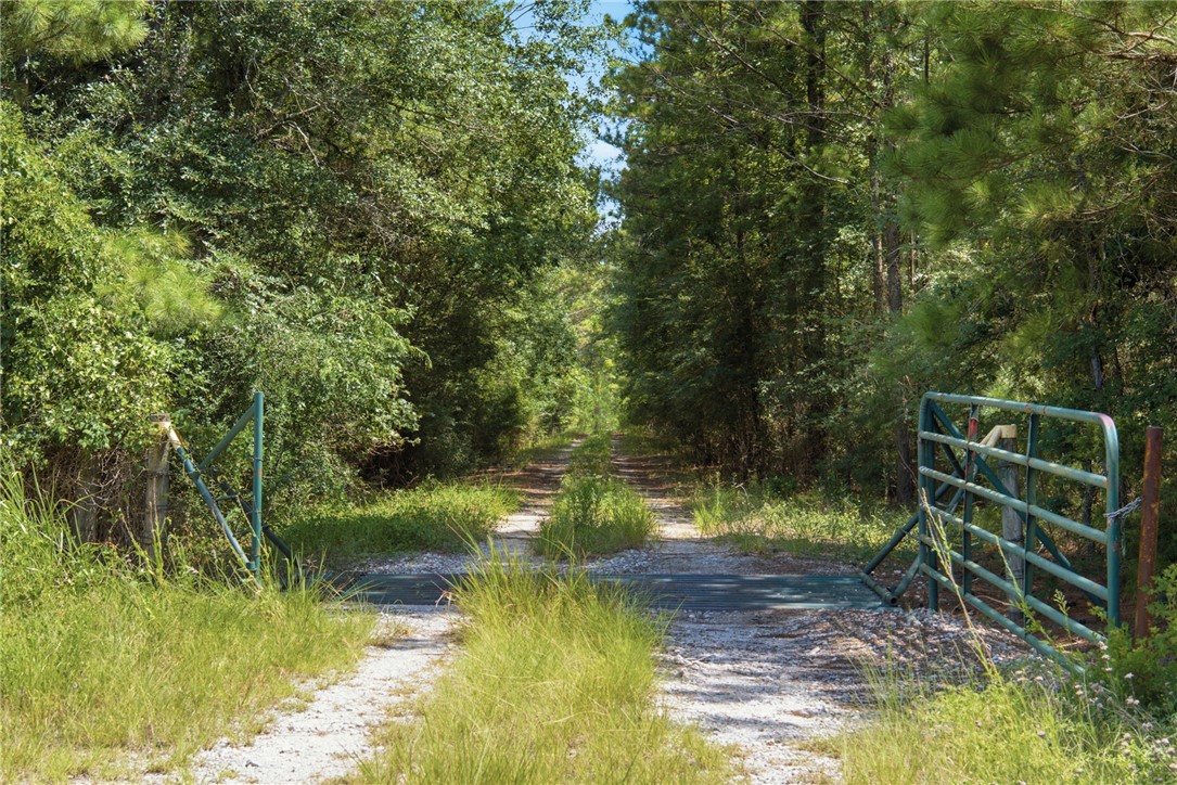 118.25 Acres Cr 278c Property Photo 4