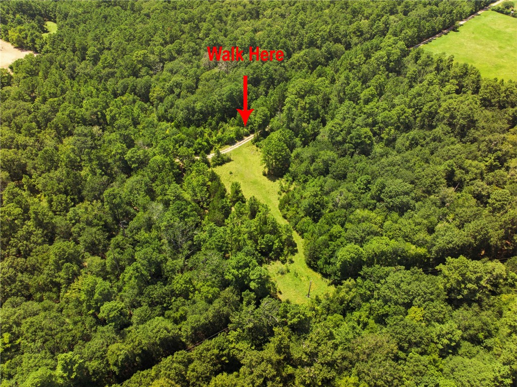 118.25 Acres Cr 278c Property Photo 5