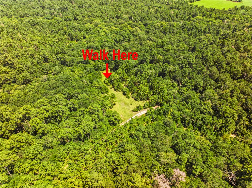 118.25 Acres Cr 278c Property Photo 6