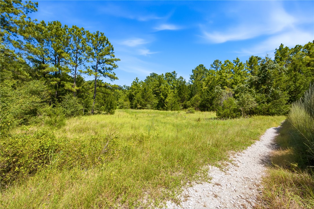 118.25 Acres Cr 278c Property Photo 7