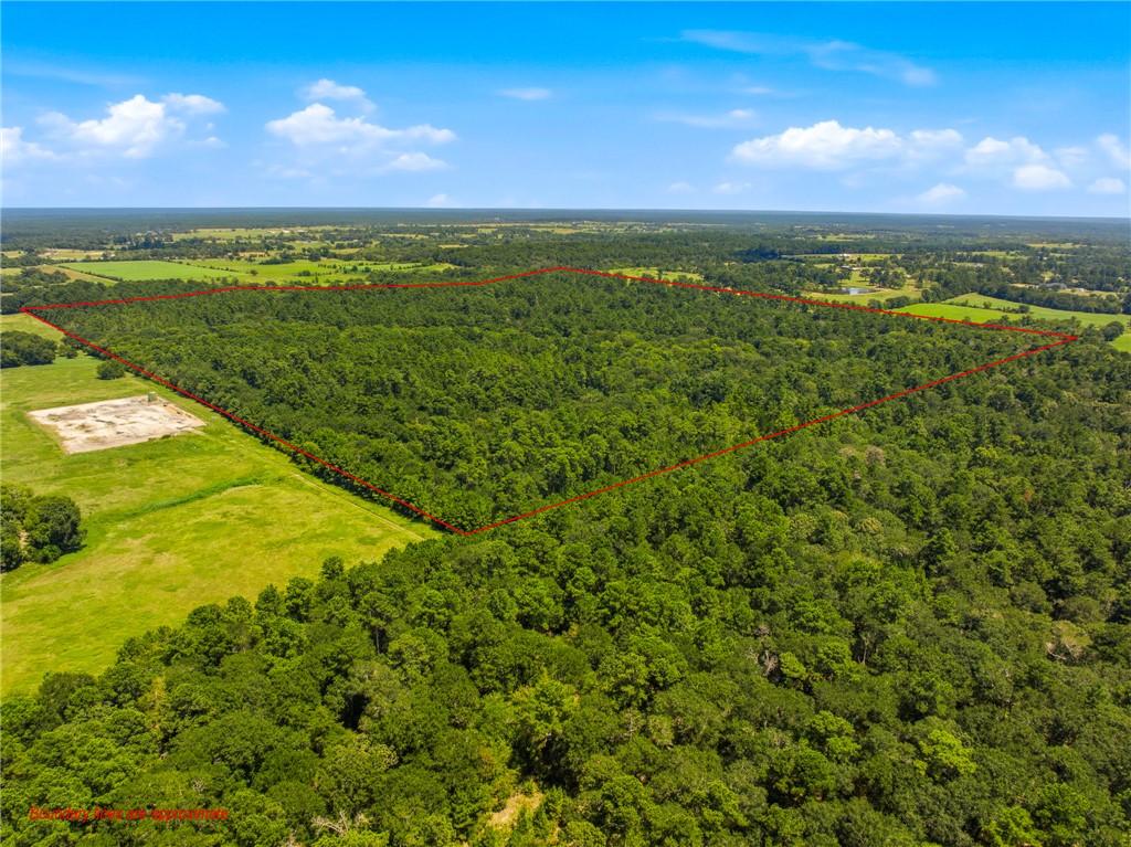 118.25 Acres Cr 278c Property Photo 8