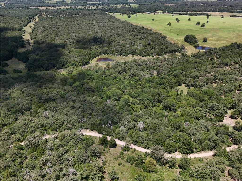 Tbd Starlight Path Property Photo 3