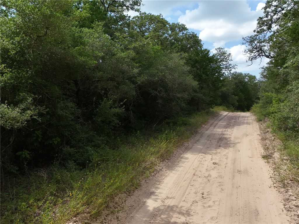 Tbd Starlight Path Property Photo 6