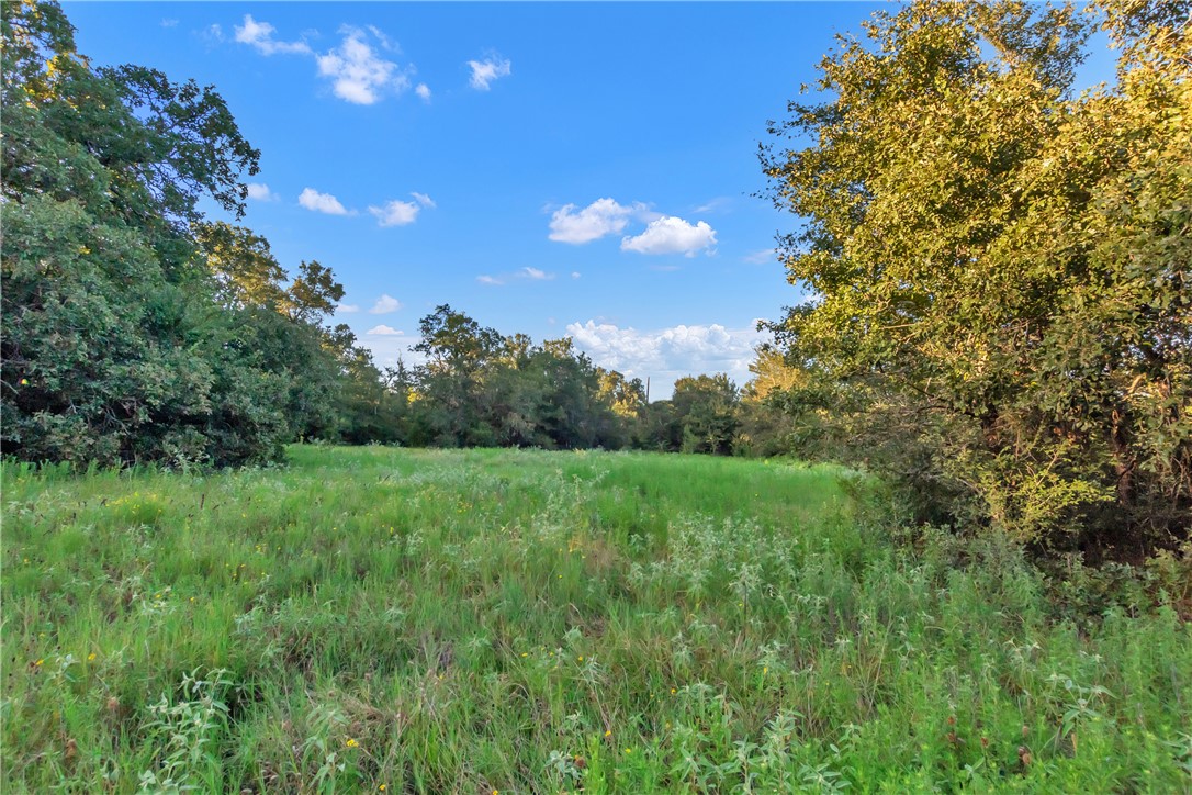 0000 Cr355 Loop & Cr356 Property Photo 1