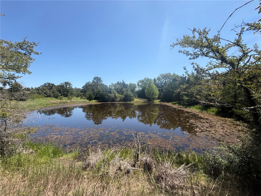 0000 Cr355 Loop & Cr356 Property Photo 9