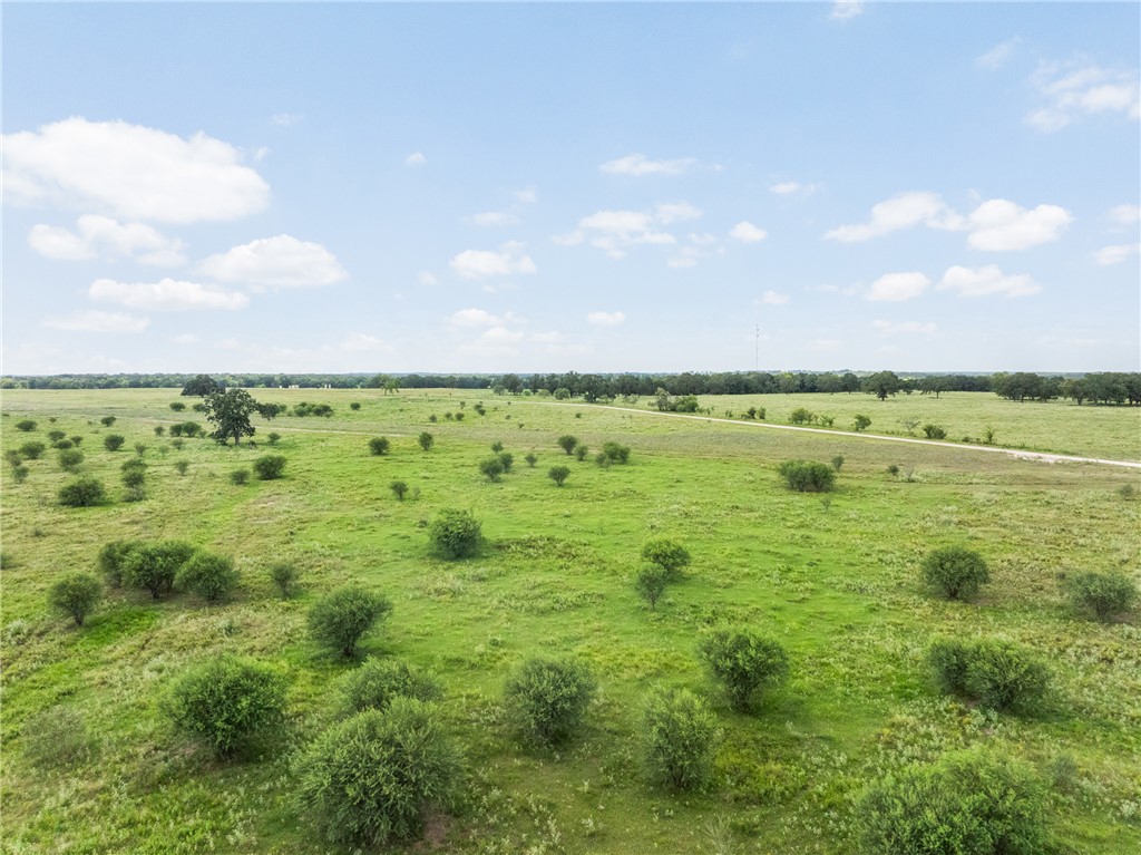 13601 E State Highway 21 Property Photo 3