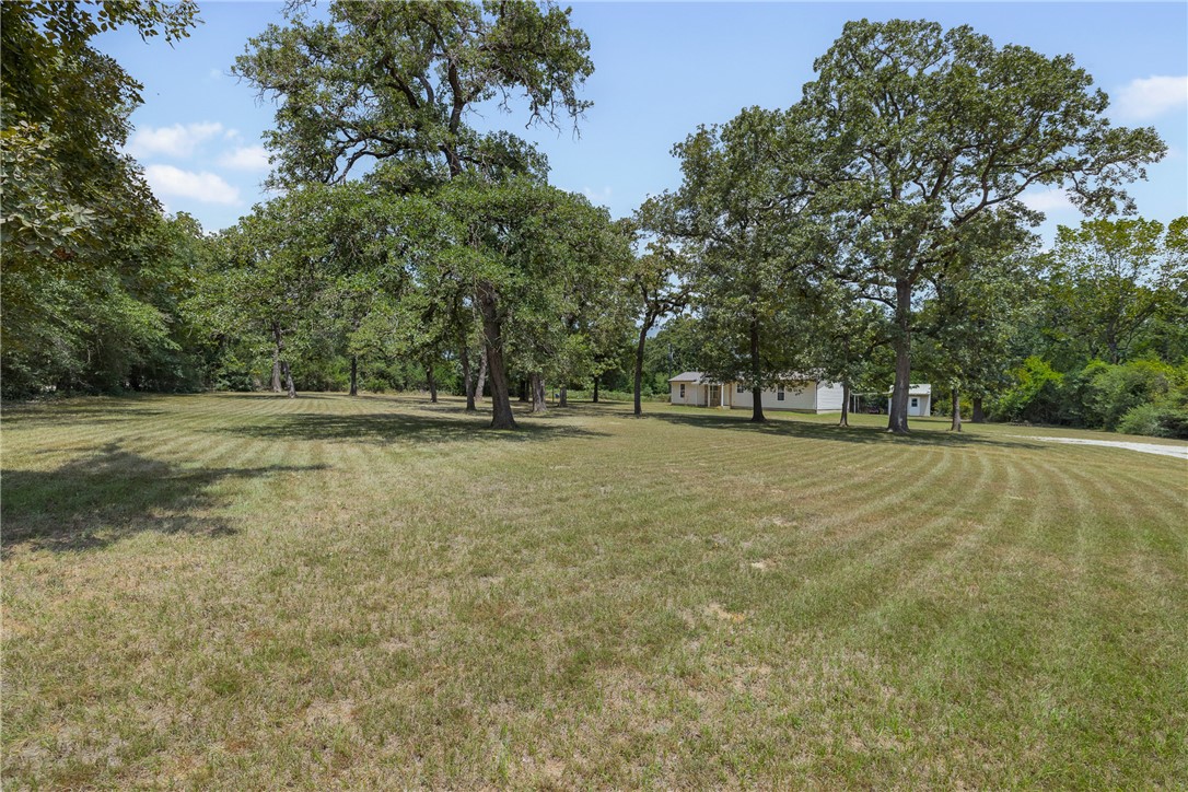 8915 Cobb Branch Road Property Photo 1
