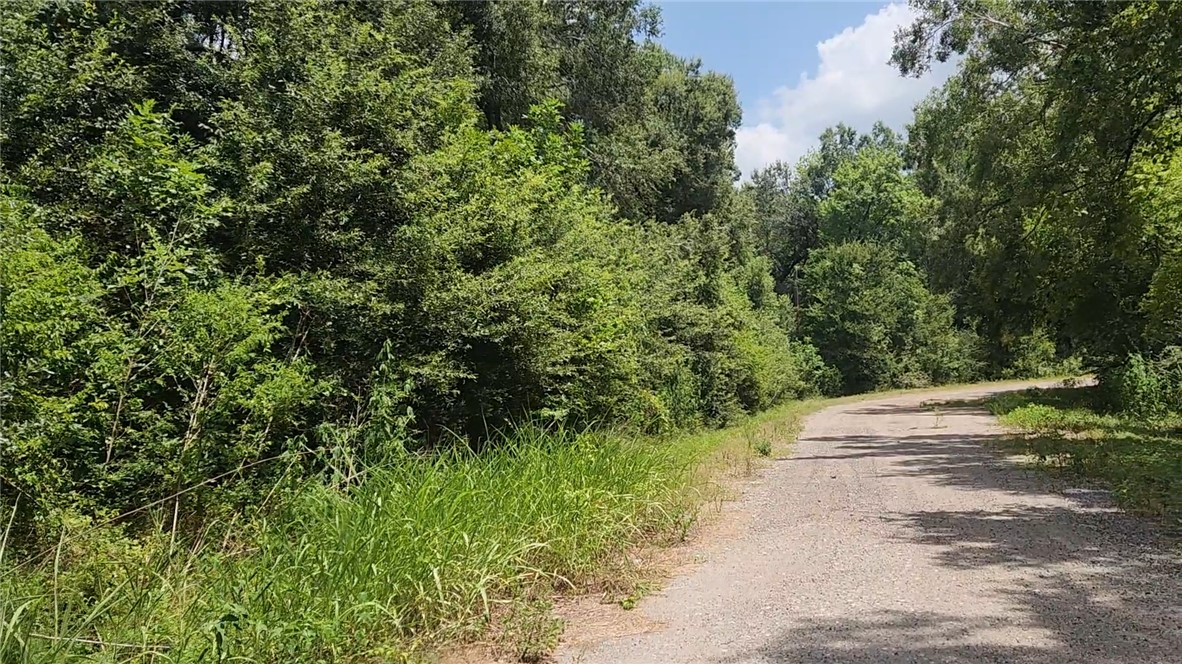 Lot 61 West Essex Road Property Photo 1