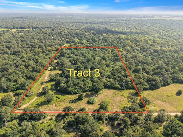 8692 Treebrook Lane Property Photo 4