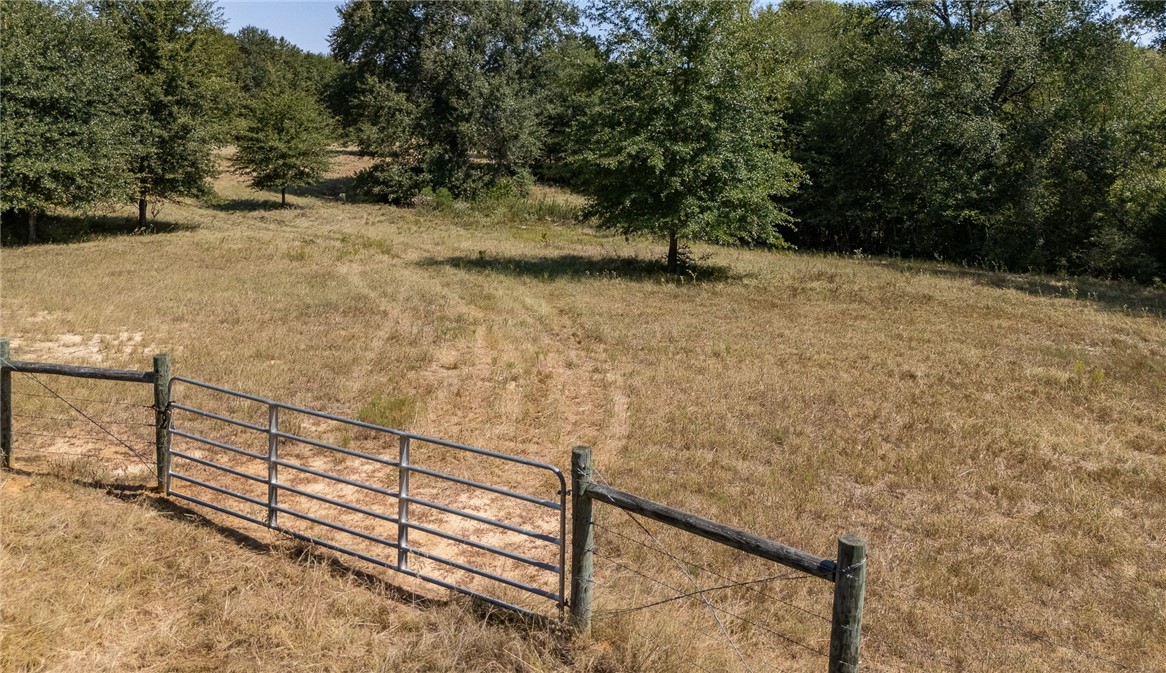 Tbd County Road 320 Property Photo 1