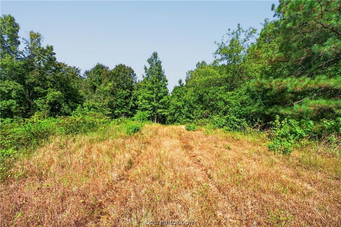 10877 Fm 1972 Property Photo 4