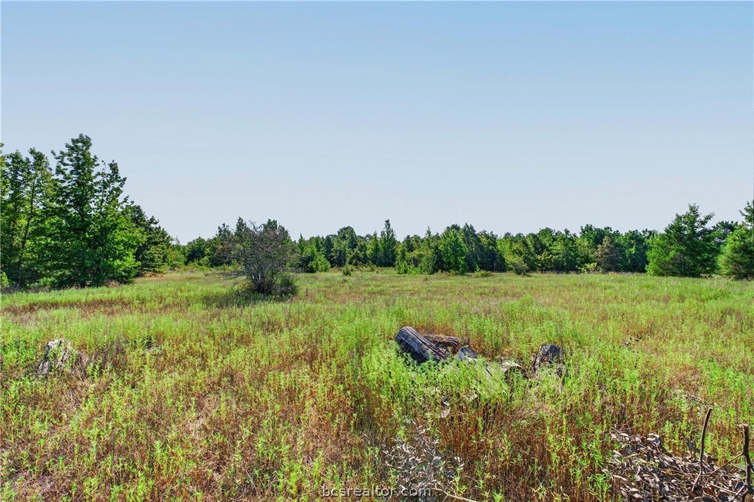 10877 Fm 1972 Property Photo 6