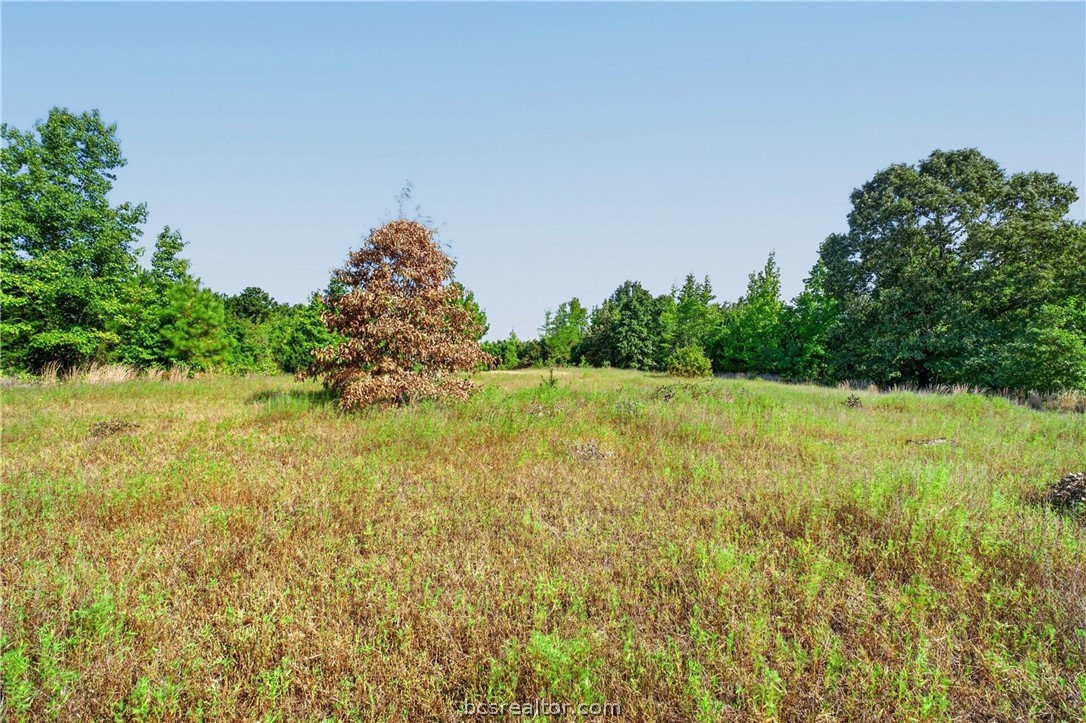 10877 Fm 1972 Property Photo 7
