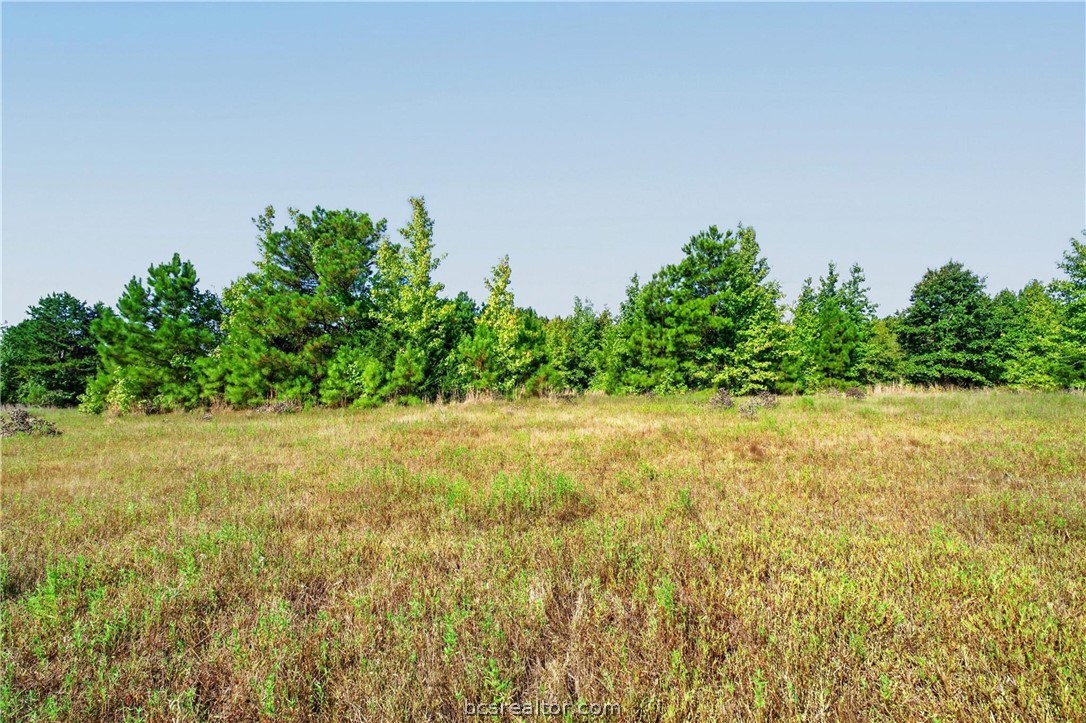 10877 Fm 1972 Property Photo 8