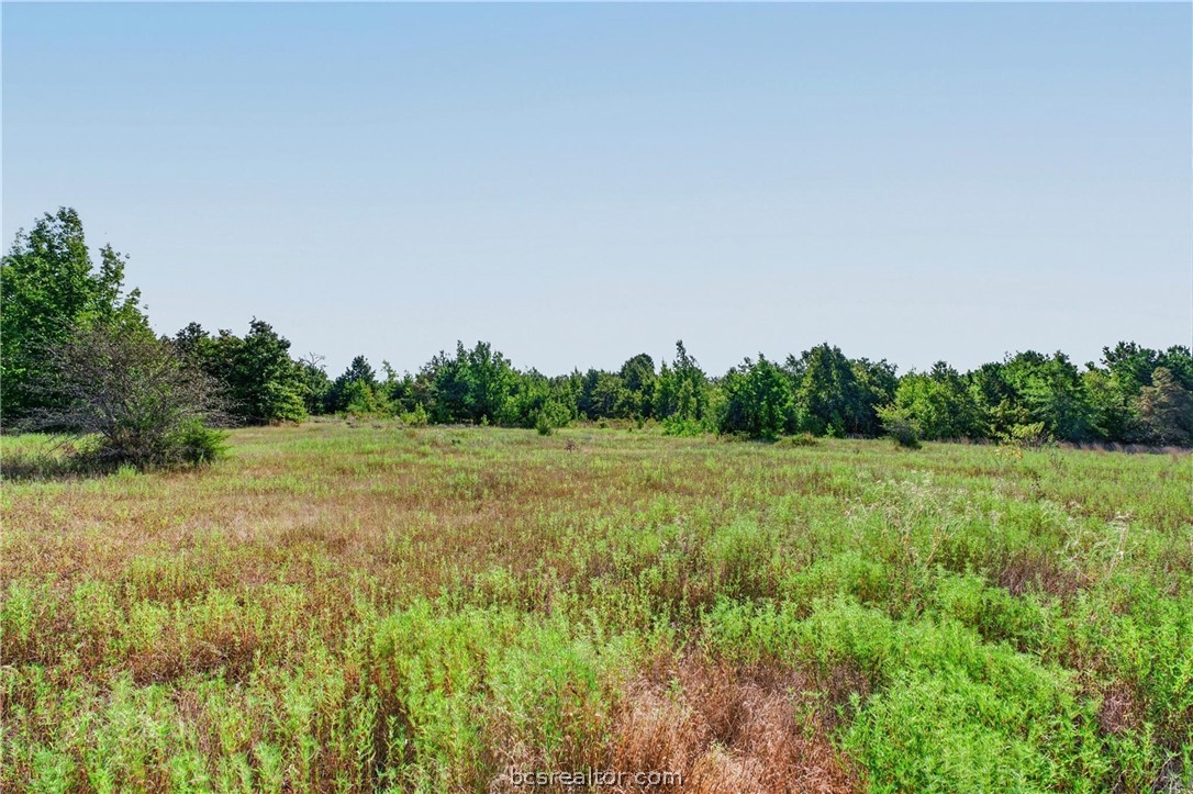 10877 Fm 1972 Property Photo 11