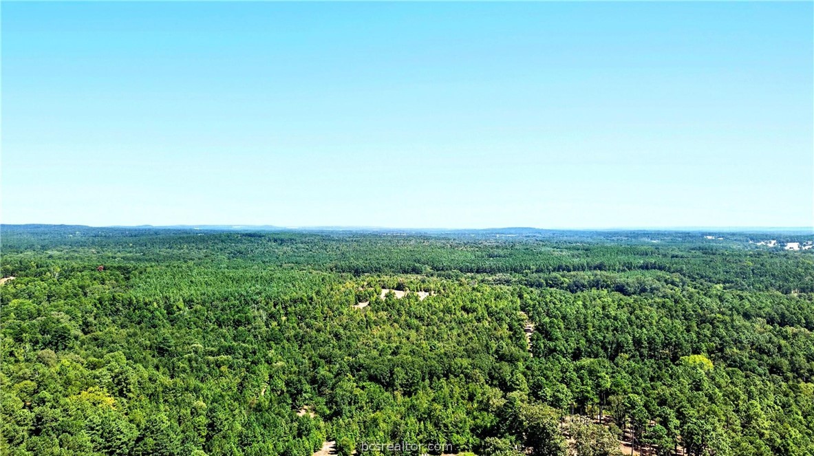 10877 Fm 1972 Property Photo 13