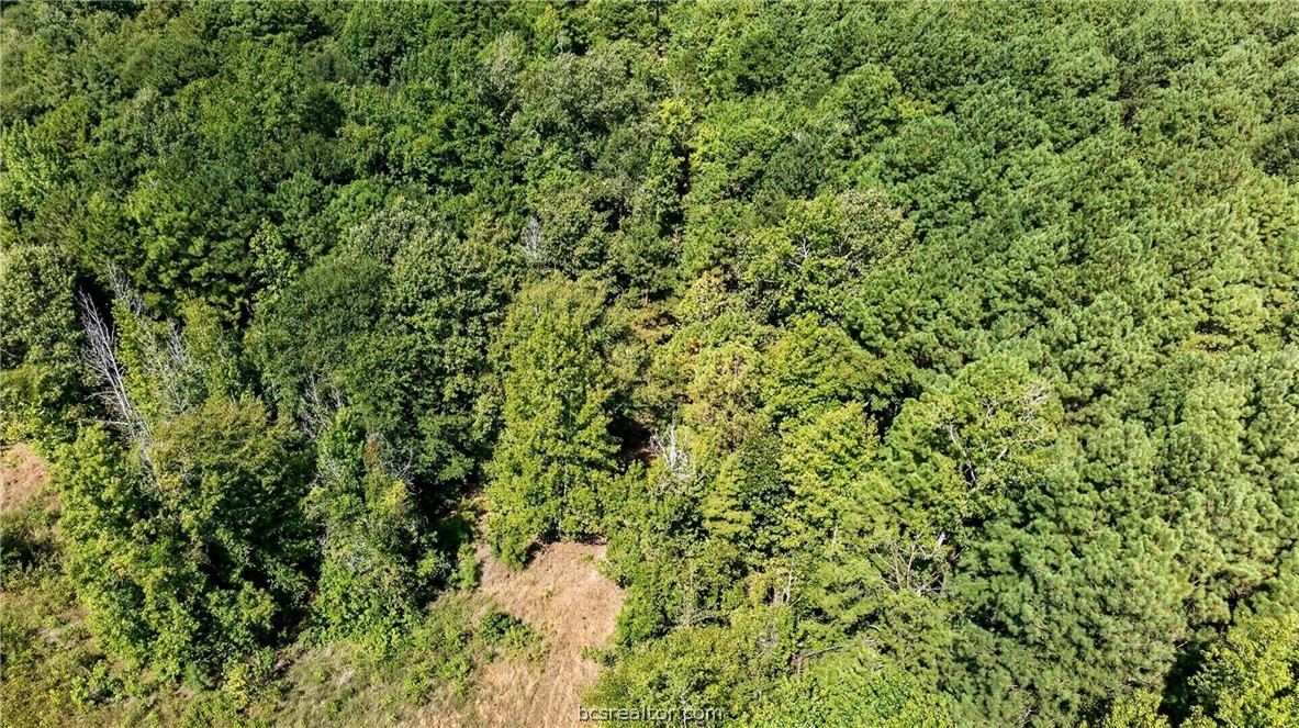 10877 Fm 1972 Property Photo 14