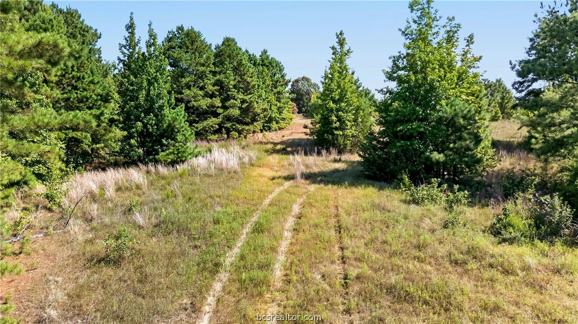 10877 Fm 1972 Property Photo 17