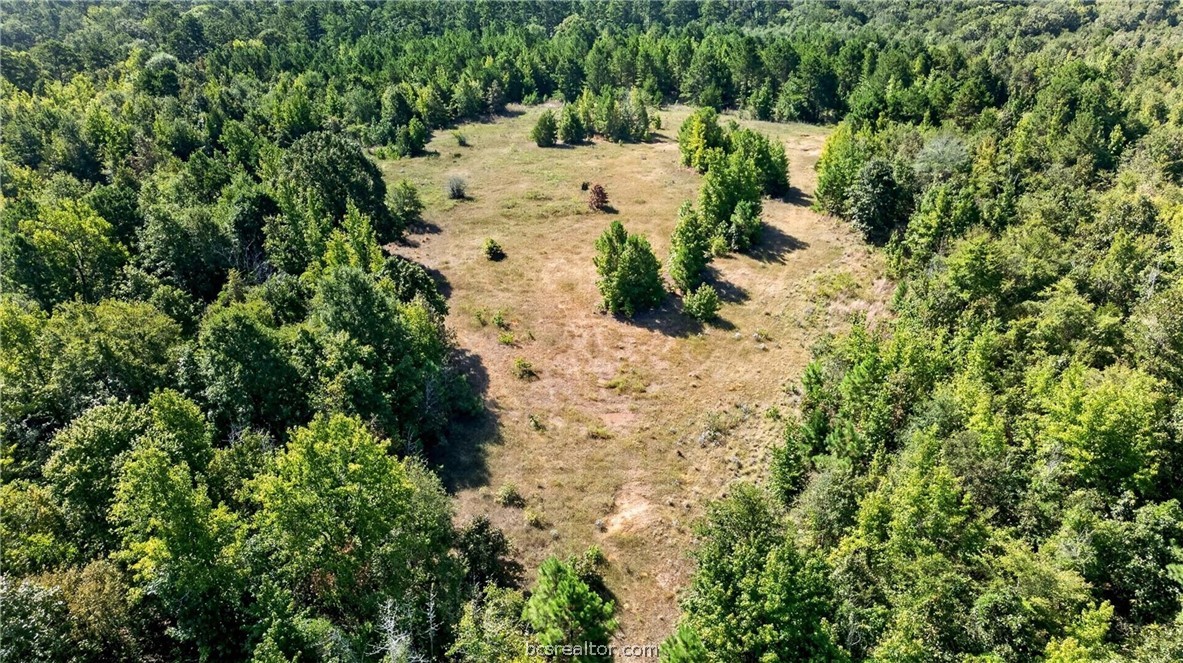 10877 Fm 1972 Property Photo 19