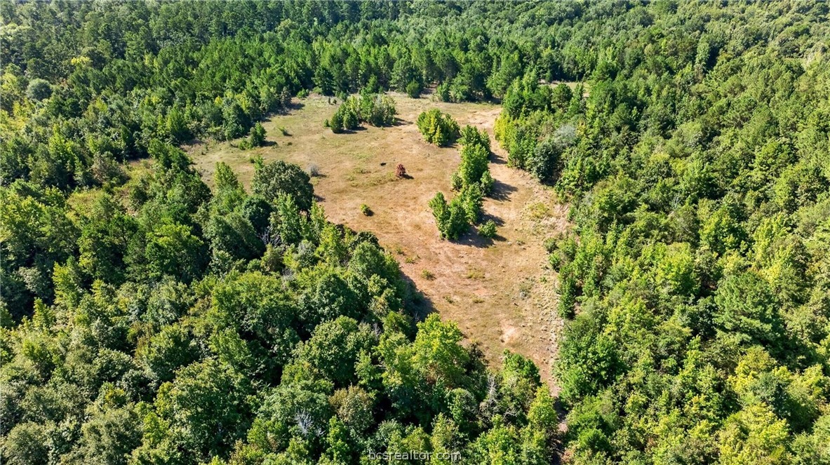 10877 Fm 1972 Property Photo 20