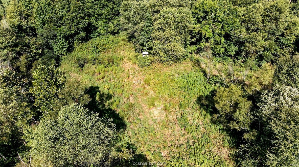 10877 Fm 1972 Property Photo 21