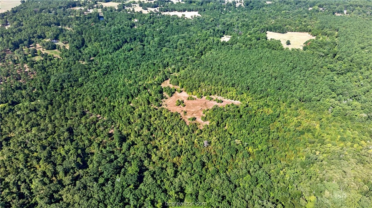 10877 Fm 1972 Property Photo 28