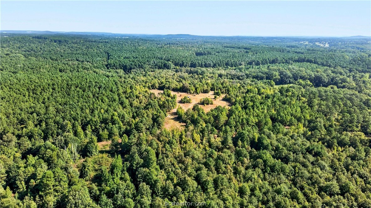 10877 Fm 1972 Property Photo 37