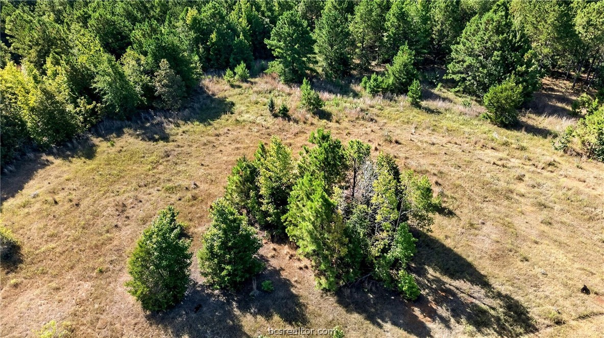 10877 Fm 1972 Property Photo 42