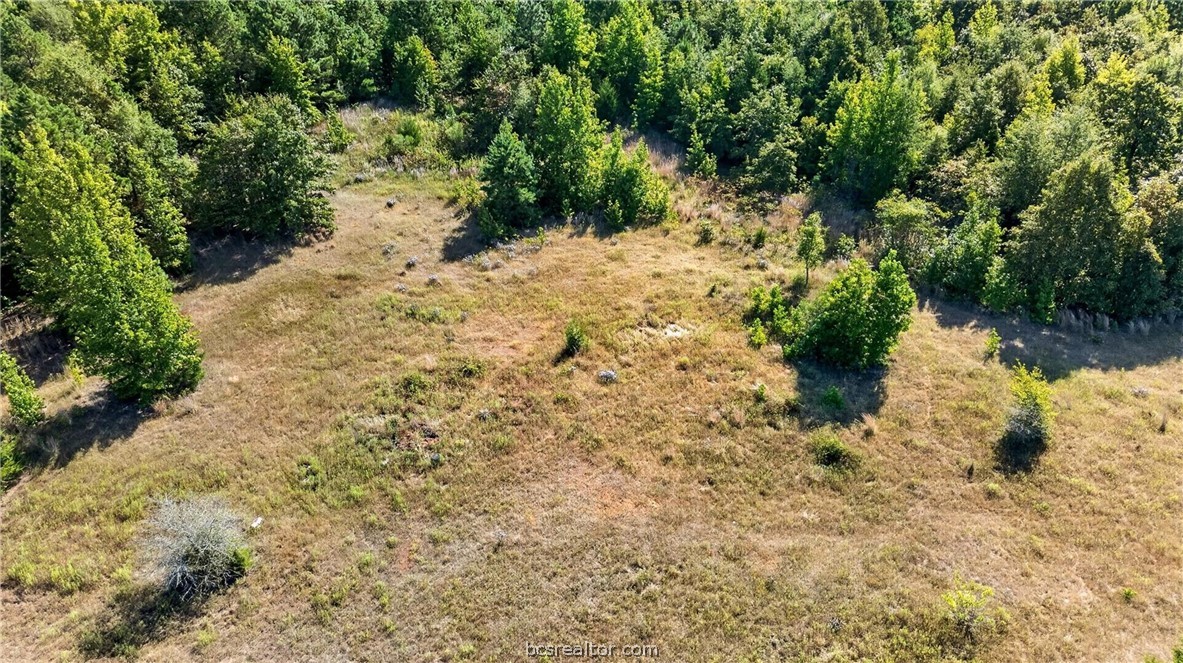 10877 Fm 1972 Property Photo 43