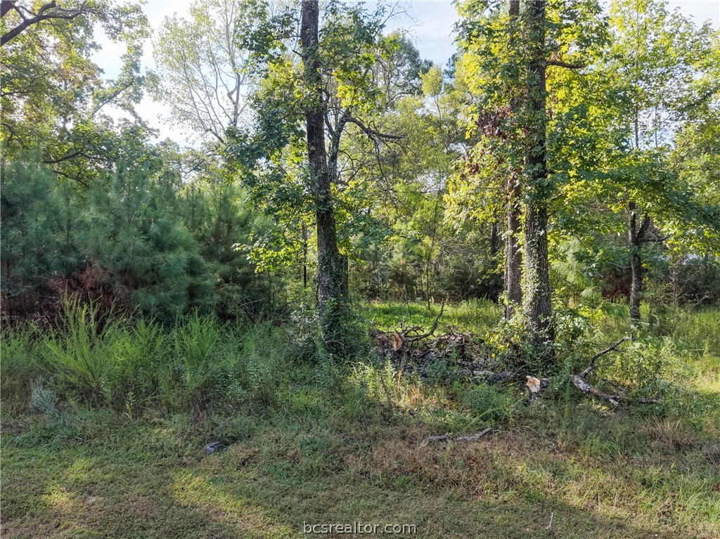 562 Magnolia Park Property Photo 4