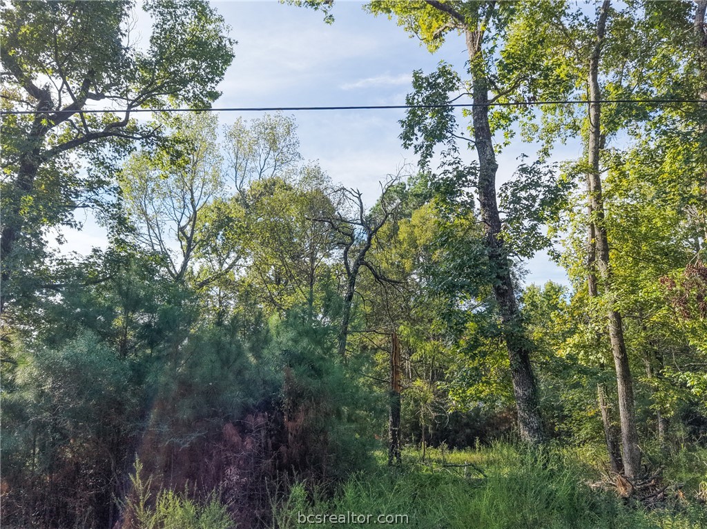 562 Magnolia Park Property Photo 5
