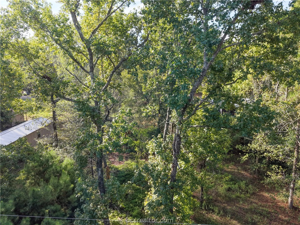 562 Magnolia Park Property Photo 6