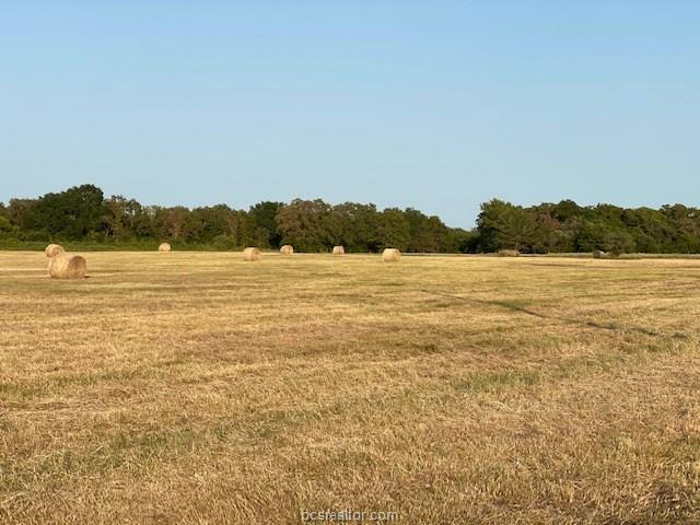 1290 Gun Range Road Property Photo 14
