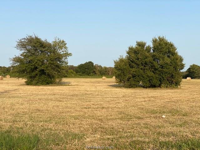 1290 Gun Range Road Property Photo 15
