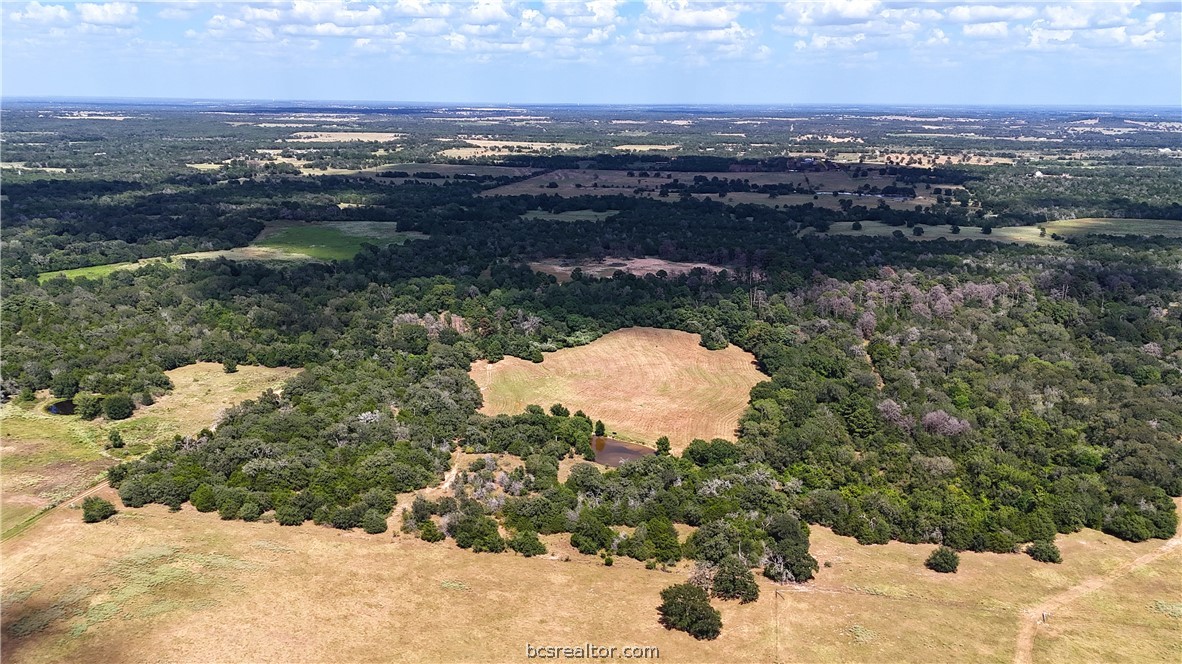 Tbd Saint Delight (tracts 8 & 13) Road Property Photo 3