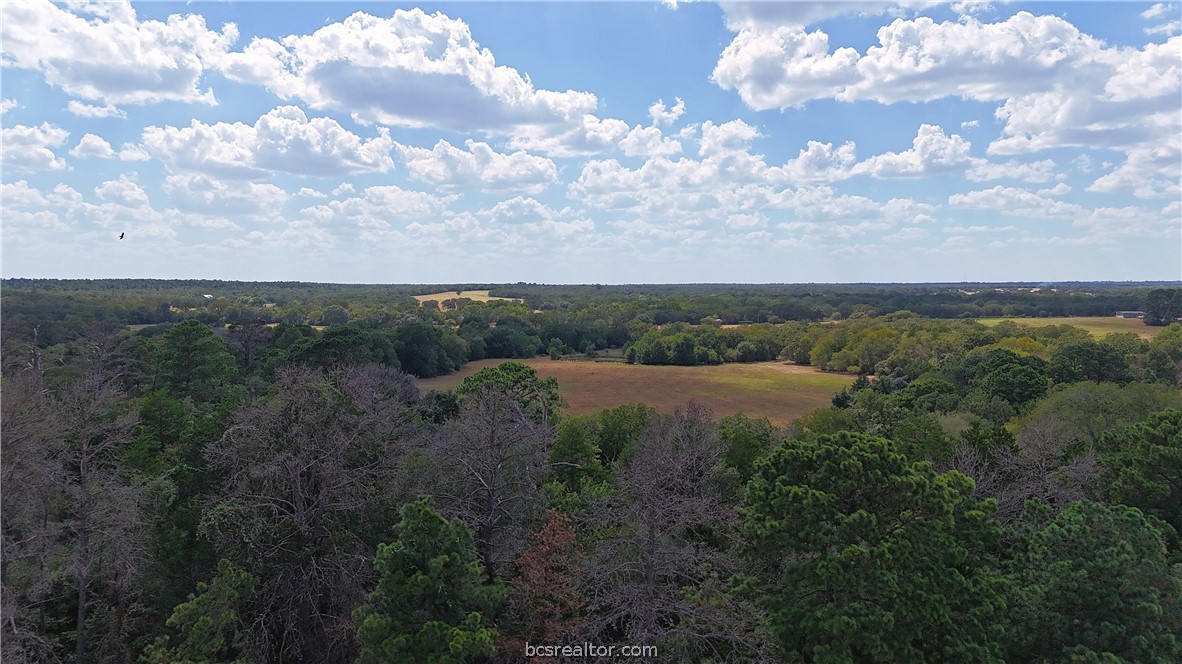 Tbd Saint Delight (tracts 8 & 13) Road Property Photo 5