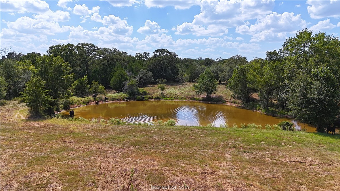 Tbd Saint Delight (tracts 8 & 13) Road Property Photo 7